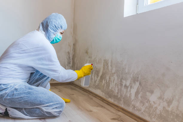 Licensed Mold Testing service in Edgewood, TX - WQB Mold Removal