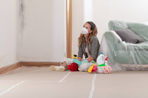 Reliable Mold Testing contractor in Edgewood, TX by WQB Mold Removal